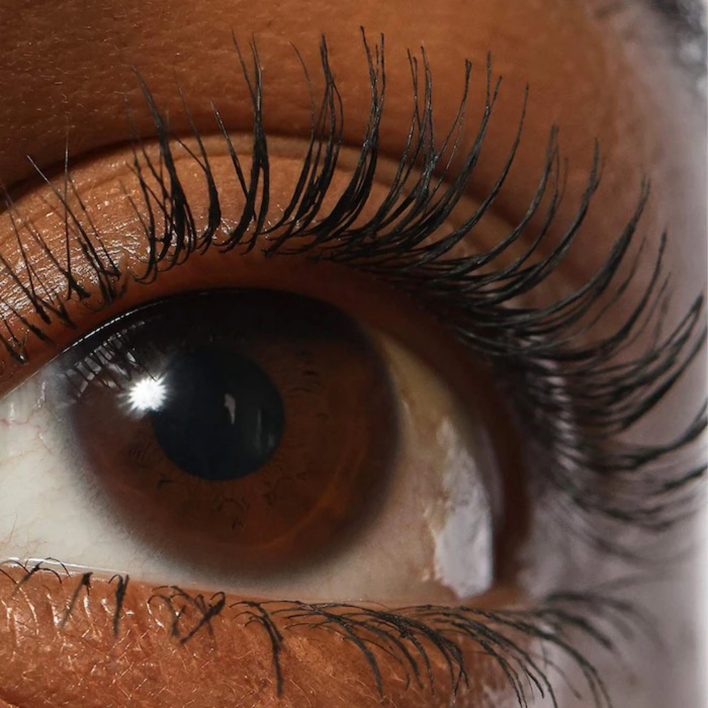 Туш для вій REFY Lash Sculpt Lengthen and Lift Mascara